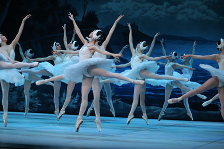 swan lake